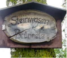 bilder-steinwasenbrunnen-4