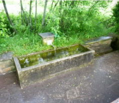 bilder-steinwasenbrunnen-6